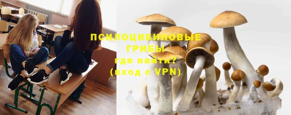 каннабис Медвежьегорск