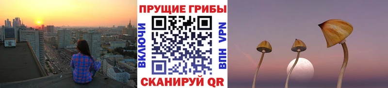 Галлюциногенные грибы ЛСД  Купить где  Астрахань 